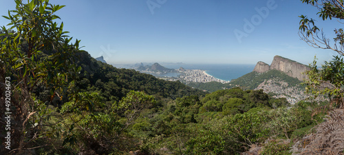 Rio de janeiro panoramic urban forrest