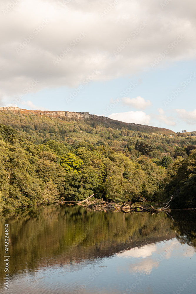 A View of a River