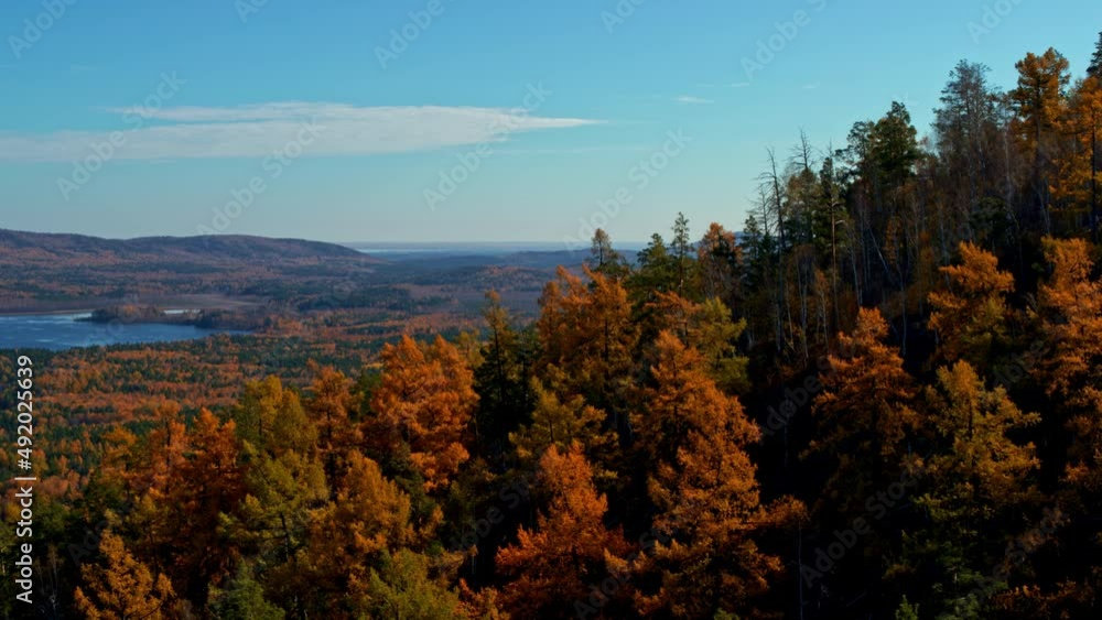 Aerial view of the autumn forest on the mountainside Aerial view of the autumn forest on the mountainside