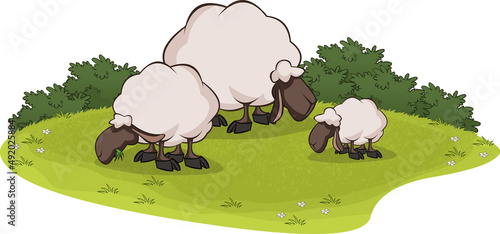 Cartoon sheep grazing. Sheep on grass field.
