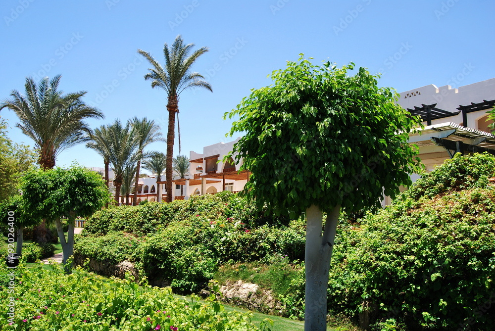 The territory of the hotel in Sharm el-Sheikh