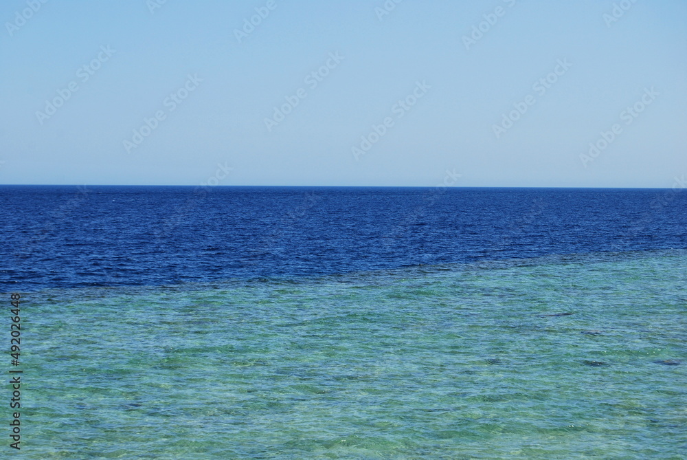 Red Sea in Sharm el-Sheikh Red Sea in Sharm el-Sheikh