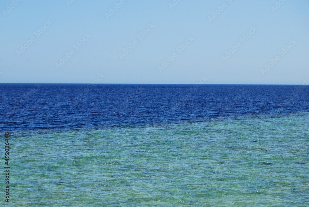 Red Sea in Sharm el-Sheikh