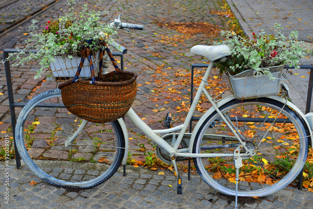  Fahrrad als Schmuckstück in Bad Doberan