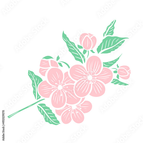Flowering tree branch isolated object. Twig with delicate pink flowers and leaves. Flowering of apple  sakura  almond  peach and other fruit trees. Vector