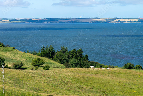 Die Limfjord Landschaft in Dänemark