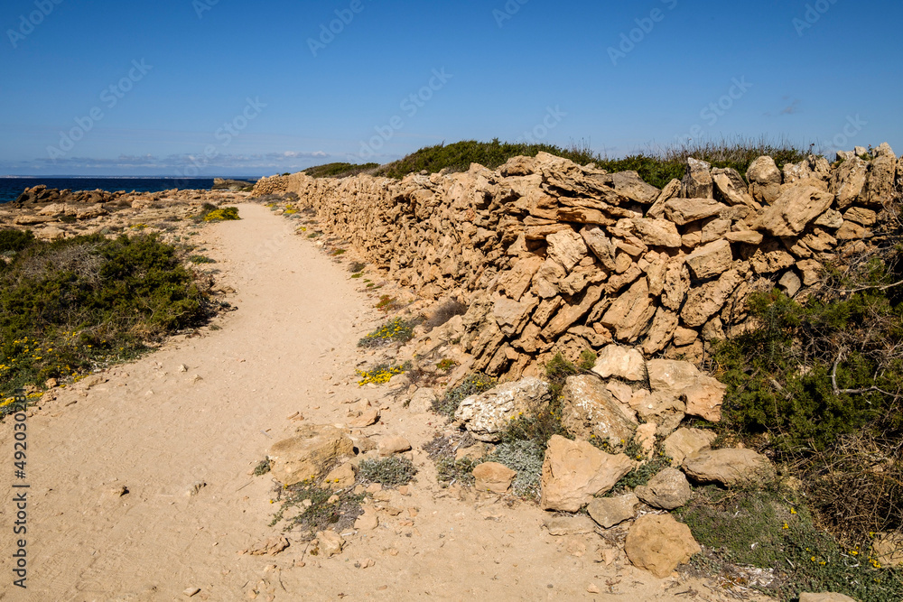 path next to stone wall, Cap Salines beach, Mallorca, Balearic Islands, Spain