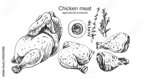 chicken, thyme, rosemary, oil, graphics chicken, thyme, rosemary, oil, graphics, hand drawing on a white background, industrial design, menu, advertising