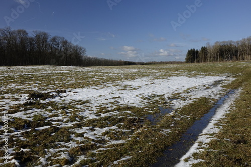 Snow covered meadows and empty trees in Westerwald, sunny winter day, concept: cold, nature, outdoor, hiking, serenity, melting (horizontal), Weissenberg, RLP, Germany