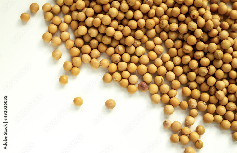 Soybeans, soy or soya bean on white background. Soybeans, soy or soya bean on white background.