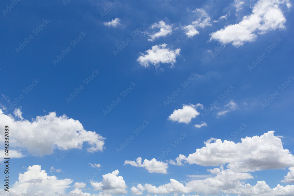 Fototapeta premium Cloud