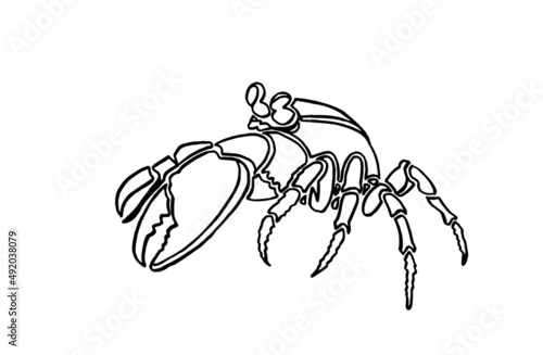Graphical sketch of crab isolated on white background,vector sea-food element for coloring lined drawing