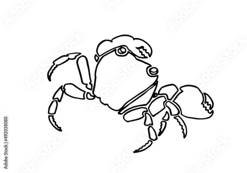 Graphical sketch of crab isolated on white background,vector sea-food element for coloring lined drawing