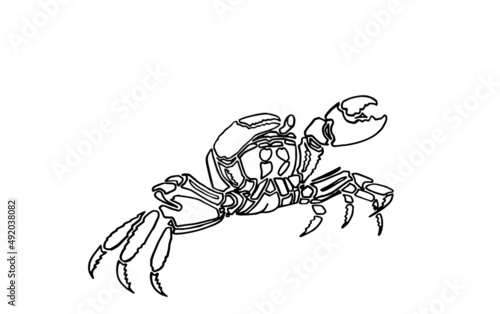 Graphical sketch of crab isolated on white background,vector sea-food element for coloring lined drawing
