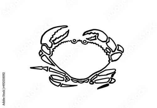 Graphical sketch of crab isolated on white background,vector sea-food element for coloring lined drawing