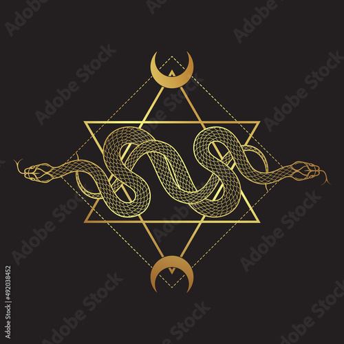 Two gold serpents over the six pointed star line art boho chic tattoo, poster, tapestry or altar veil print design vector illustration.