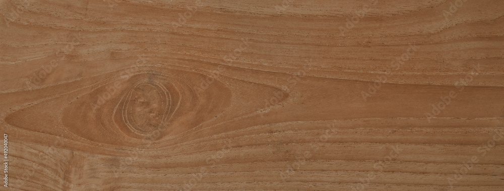 Old wood, surface of the wooden texture background blank for design Old wood, surface of the wooden texture background blank for design