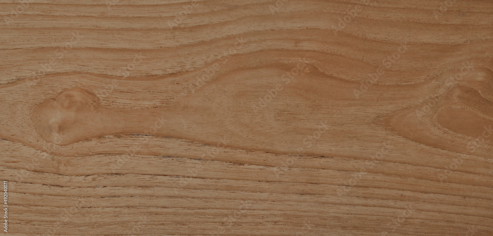 Old wood, surface of the wooden texture background blank for design Old wood, surface of the wooden texture background blank for design