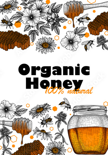 Vector template illustration. Graphic linear honey jar, honey dipper, bees, chamomile, honeycomb, clover, wild rose in engraving style