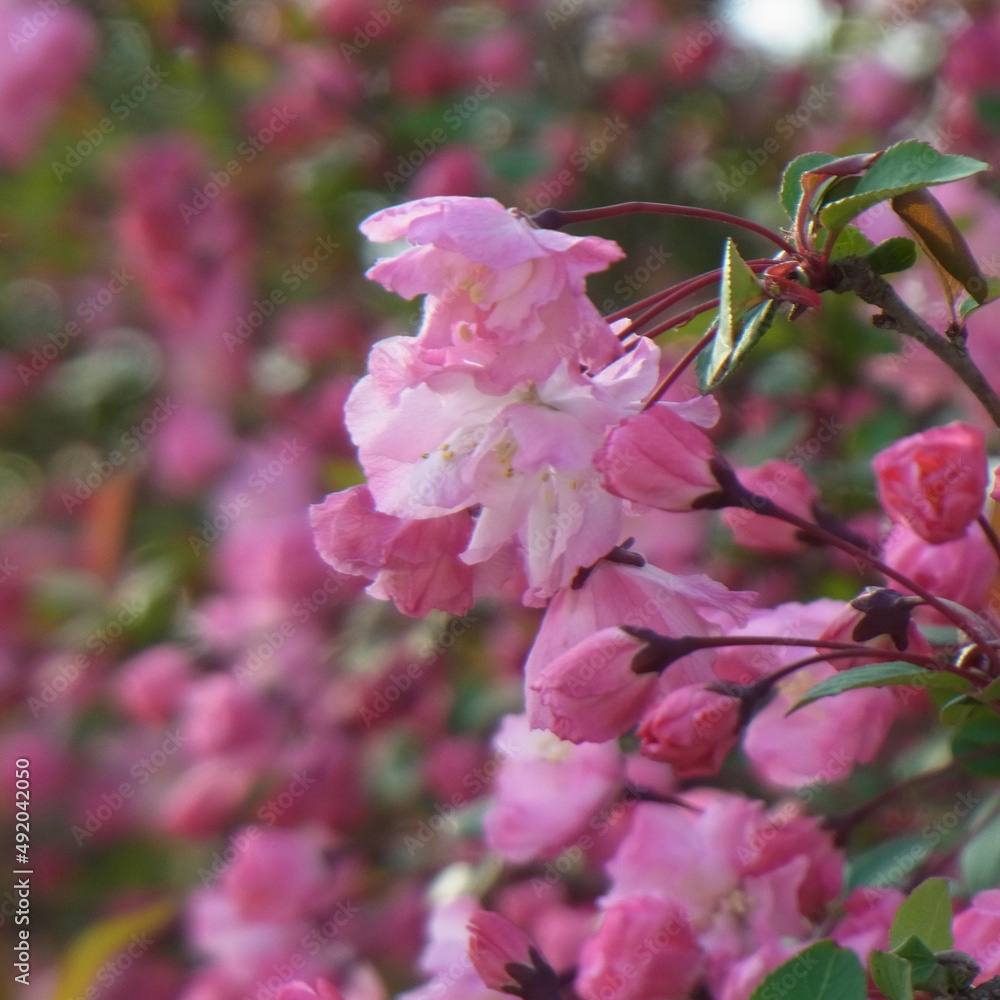 Obraz premium Exif_JPEG_PICTURE