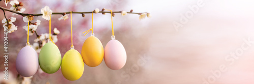 Stylish background with colorful easter eggs hanging on blooming plum tree branches outdoor in park or garden. Horizontal long banner for web design with copy space