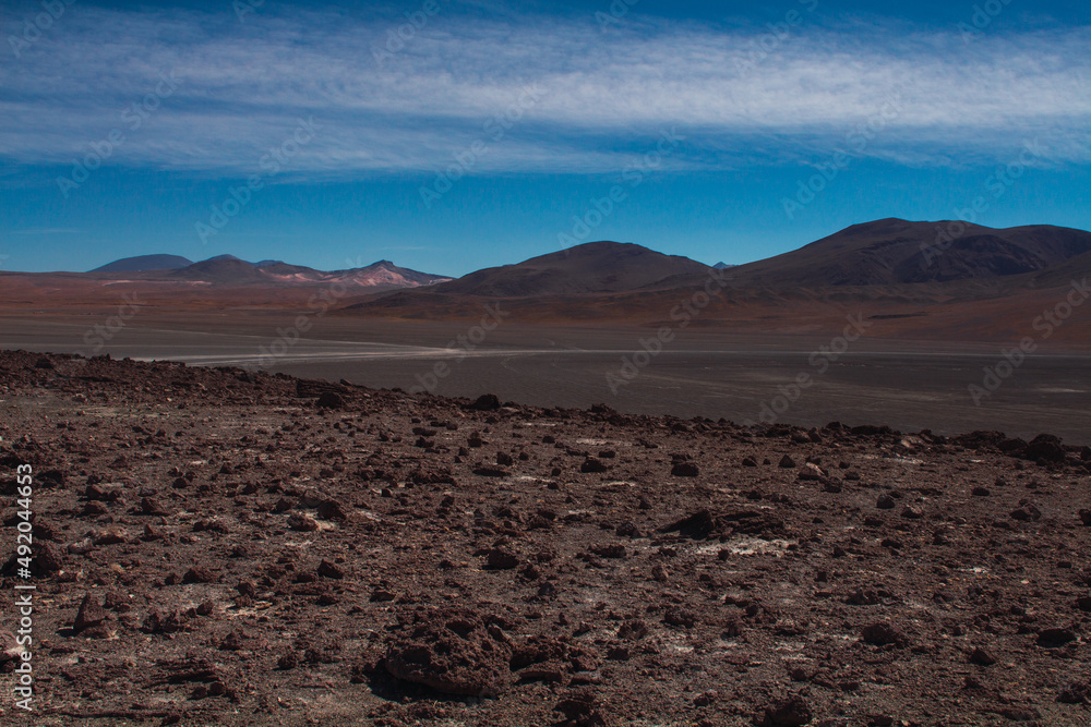 Desert in the Bolivian highlands with mountains in the background