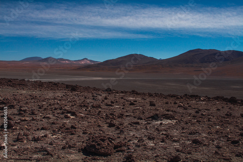 Desert in the Bolivian highlands with mountains in the background