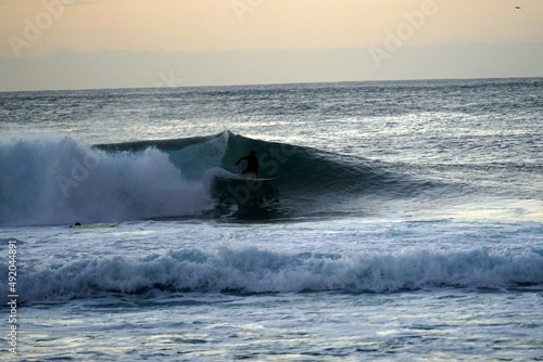 Hawaii North Shore Surfers © Pawcio