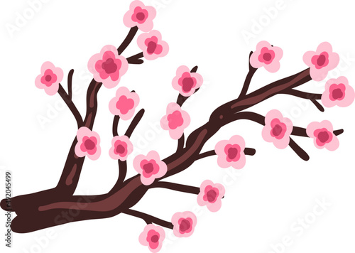 Branch of Blooming Pink Sakura Flowers as Asian Seasonal Plant Blossom