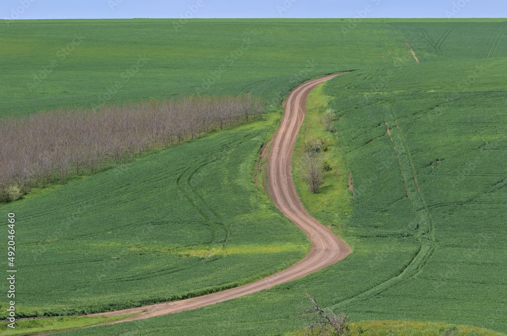 Rural landscape with a dirt road through a green field and blue sky.