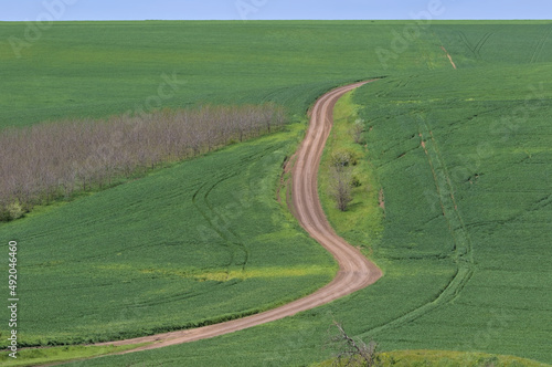Rural landscape with a dirt road through a green field and blue sky.
