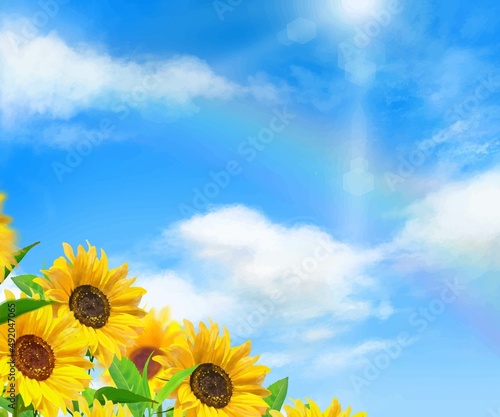 太陽の光が差し込む雲のある青空にかすかな虹と美しいひまわり畑の初夏フレーム背景素材
