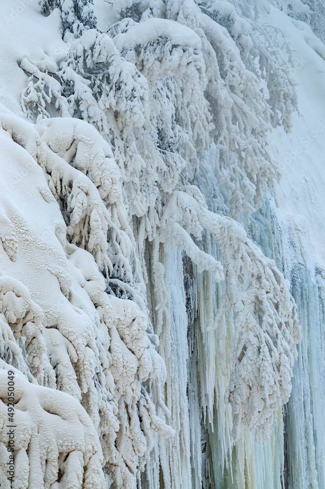 Winter landscape of the frosted and iced shoreline of the Tahquamenon River, Tahquamenon Falls State Park, Michigan's Upper Peninsula, USA Winter landscape of the frosted and iced shoreline of the Tahquamenon River, Tahquamenon Falls State Park, Michigan's Upper Peninsula, USA