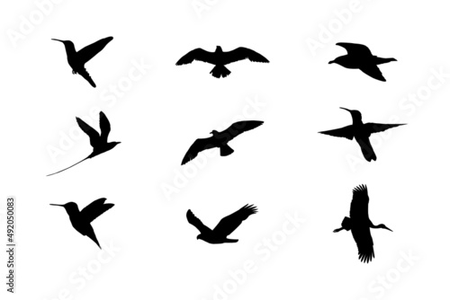 Bird Silhouette Set, Bird Vector Silhouette