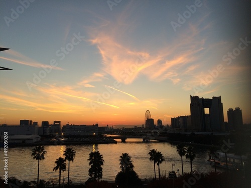 flying bird shape cloud, city skyline at sunset Tokyo bay, November 27th, 2014