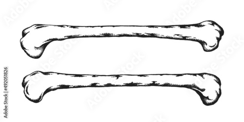 Human Bones Crossbones. Print or Tattoo Design. Hand Drawn Vector Illustration