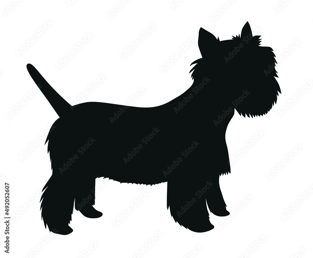 West Highland terrier black silhouette of a standing dog West Highland terrier black silhouette of a standing dog