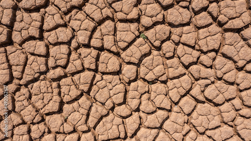 Dry and hot summers, cracked soil, ground on field with some small, green plants. texture of earth during drought. View from the top.