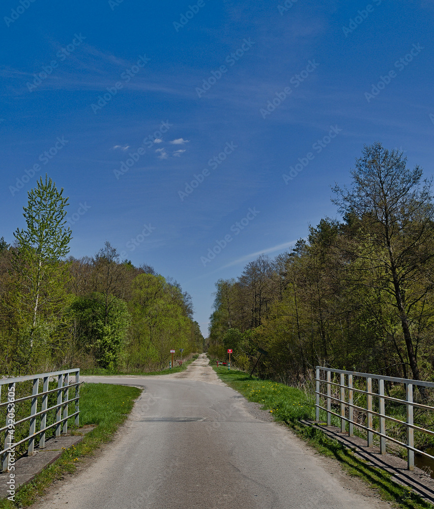 Road to the forest in early spring. Road to the forest in early spring.