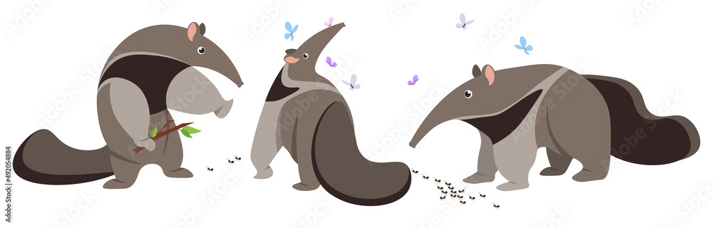 Vector illustration cute and beautiful ant-eater on white background. Charming character in different poses with formidable, dreams and walks, ants and butterflies in cartoon style.