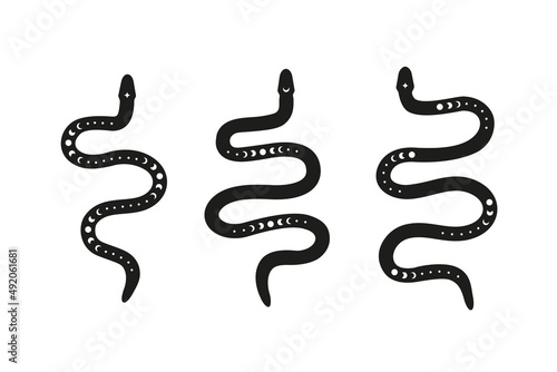 Celestial black boho snakes with moon phases.