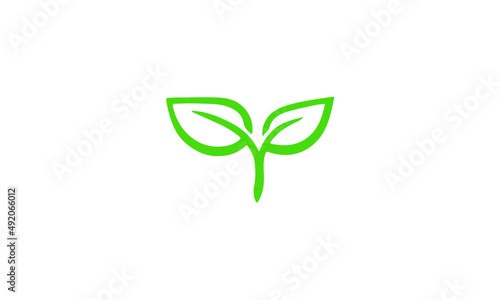 green plant vector