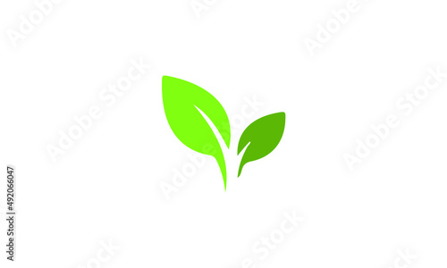 green plant