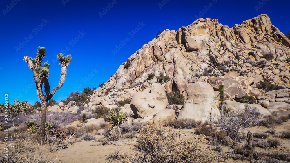 California, USA, view of a rock formation in Joshua Tree National Park 