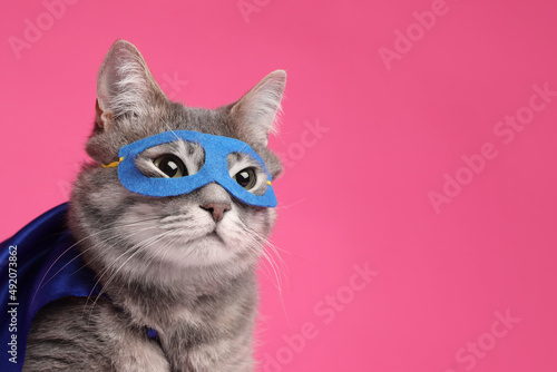 Adorable cat in blue superhero cape and mask on pink background, space for text