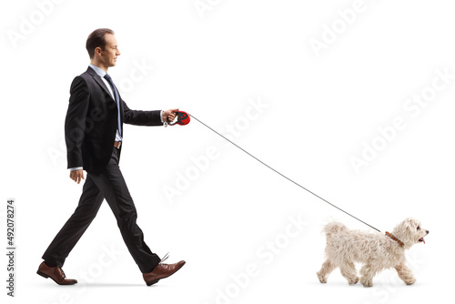 Full length profile shot of a businessman walking a maltese poodle dog photo