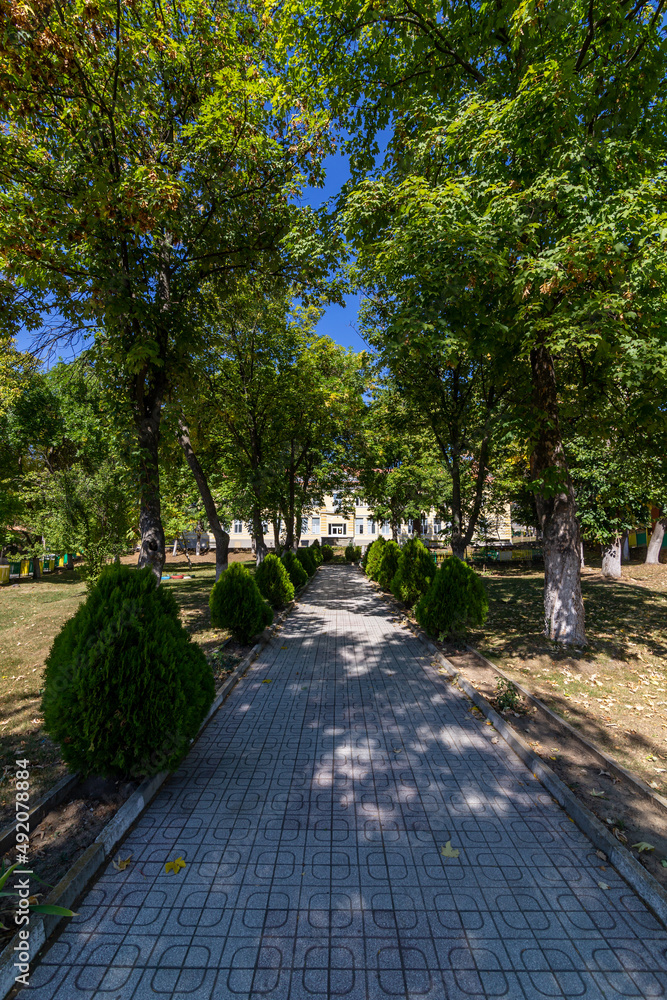 Walkway in a park with a tunnel of trees and bushes