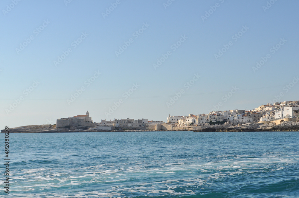 View of the city of Vieste from the sea