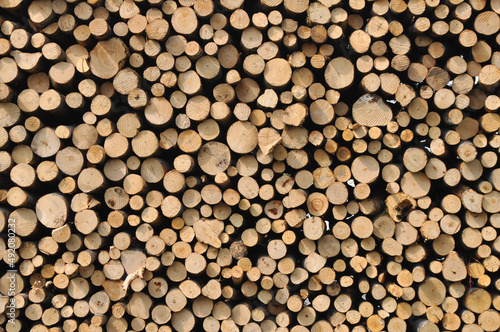 heap of wooden logs background