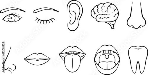 顔のパーツ（線画）
